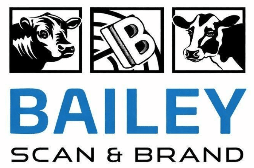 Bailey Scan & Brand