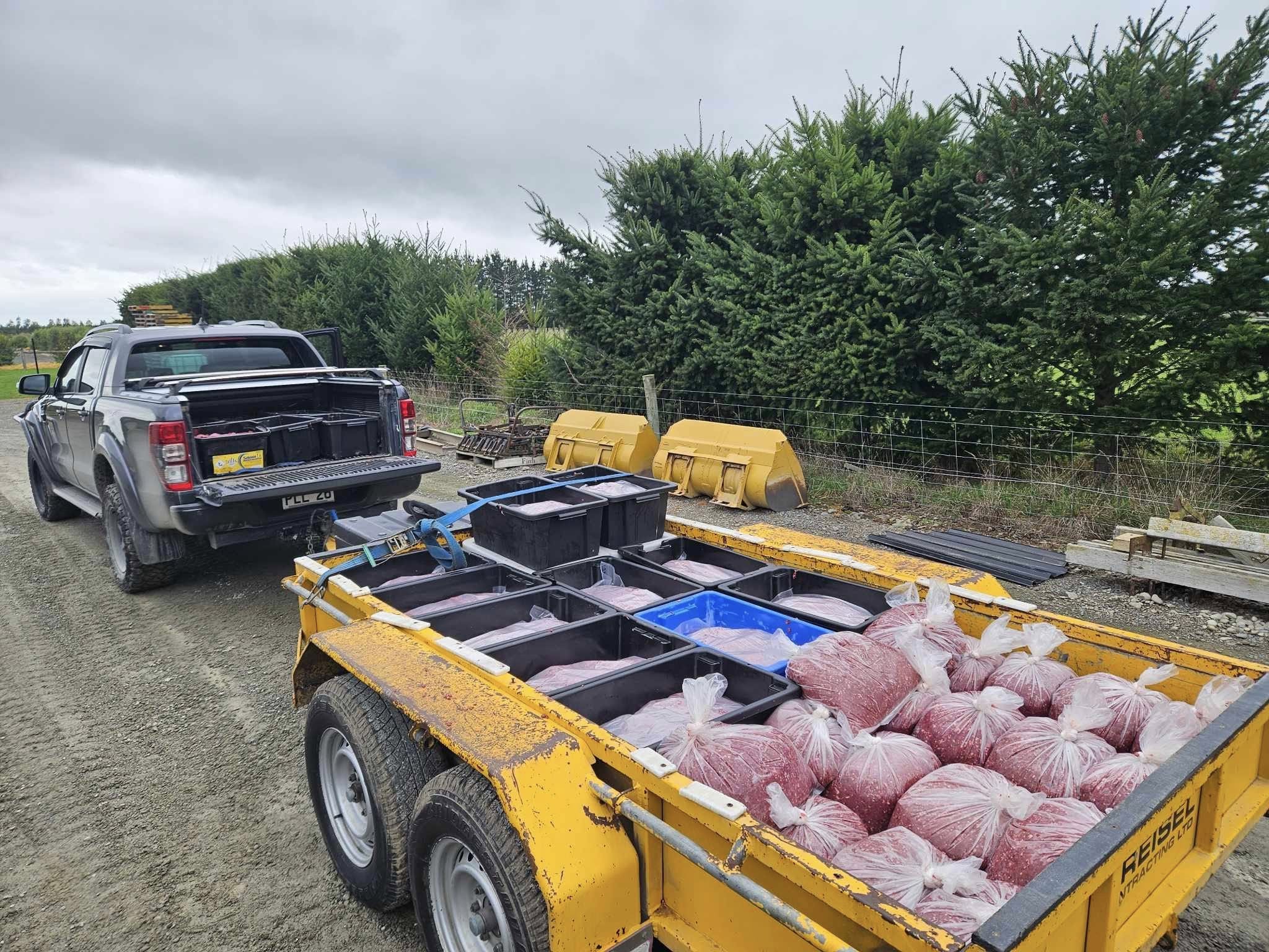 A yellow trailer loaded with red sacks and black containers is hitched to a pickup truck on a gravel road beside trees and farm equipment.