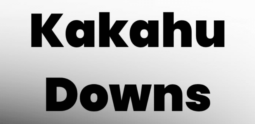Kakahu Downs Ltd